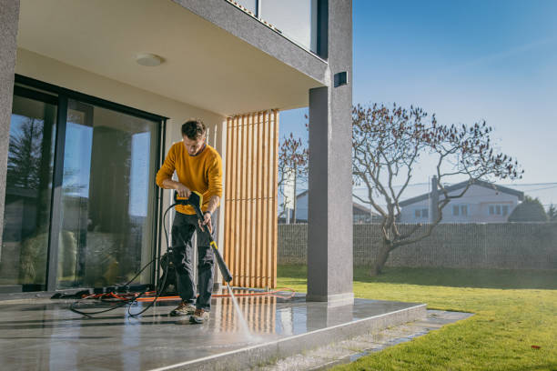 Best Pre-Holiday Cleaning  in Paris, TN